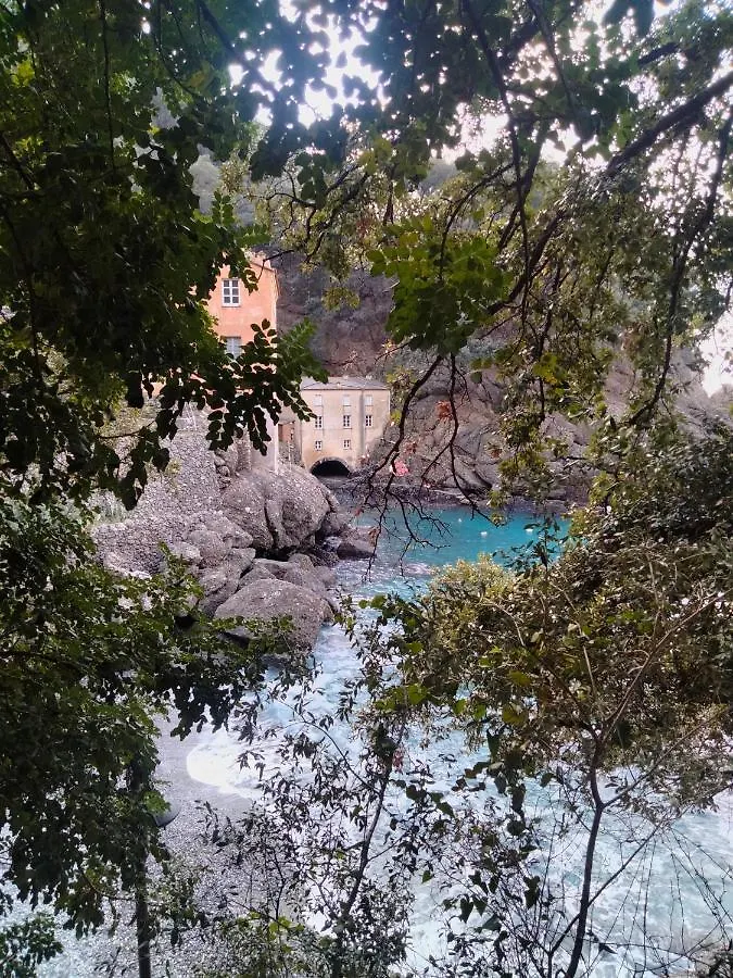 Casa Dell'Arco Civico 35 Villa San Fruttuoso Holiday home