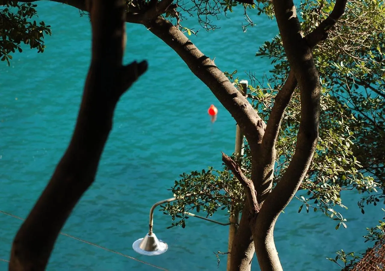 Casa Dell'Arco Civico 35 Villa San Fruttuoso 0*,  Italy